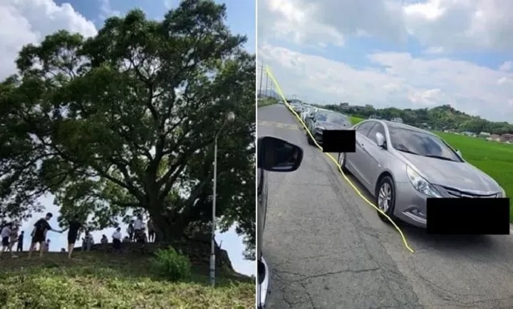 Lokasi Syuting \'Extraordinary Attorney Woo\' Jadi Objek Wisata Dadakan, Warga Permasalahkan Hal Ini