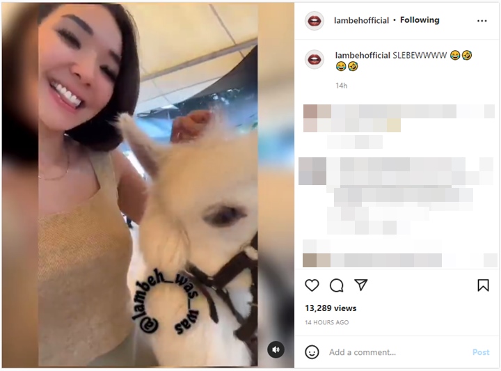 Bikin Video Bareng Alpaca, Gisella Anastasia Malah Disebut Sindir Diri Sendiri