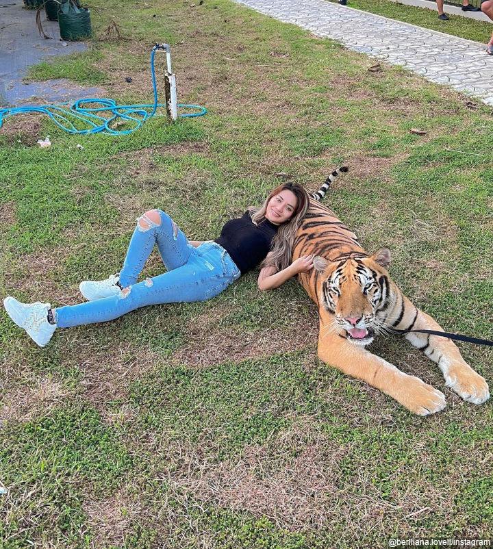 Santai Bersandar Ke Harimau