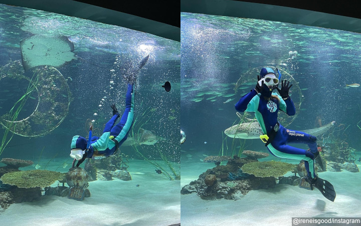 Berenang di Aquarium Raksasa