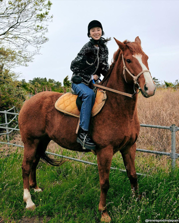 Momen Berkuda di Pulau Jeju