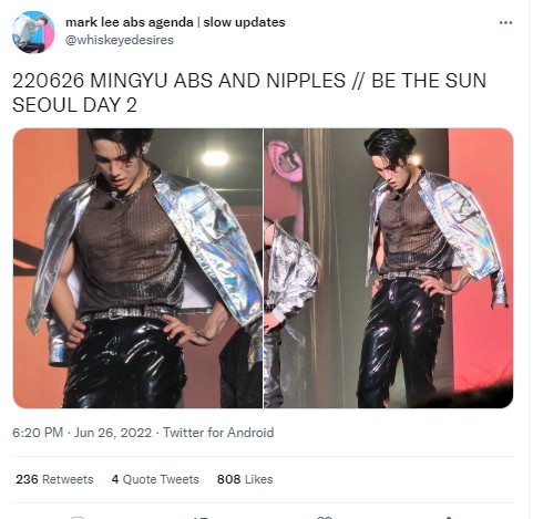 Bikin Fans Terpingkal, Vernon Tak Sengaja Sentuh Area Sensitif Mingyu di Konser SEVENTEEN