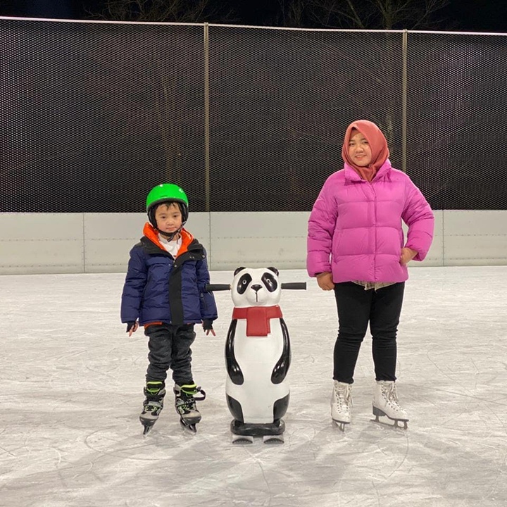 Bermain Ice Skating