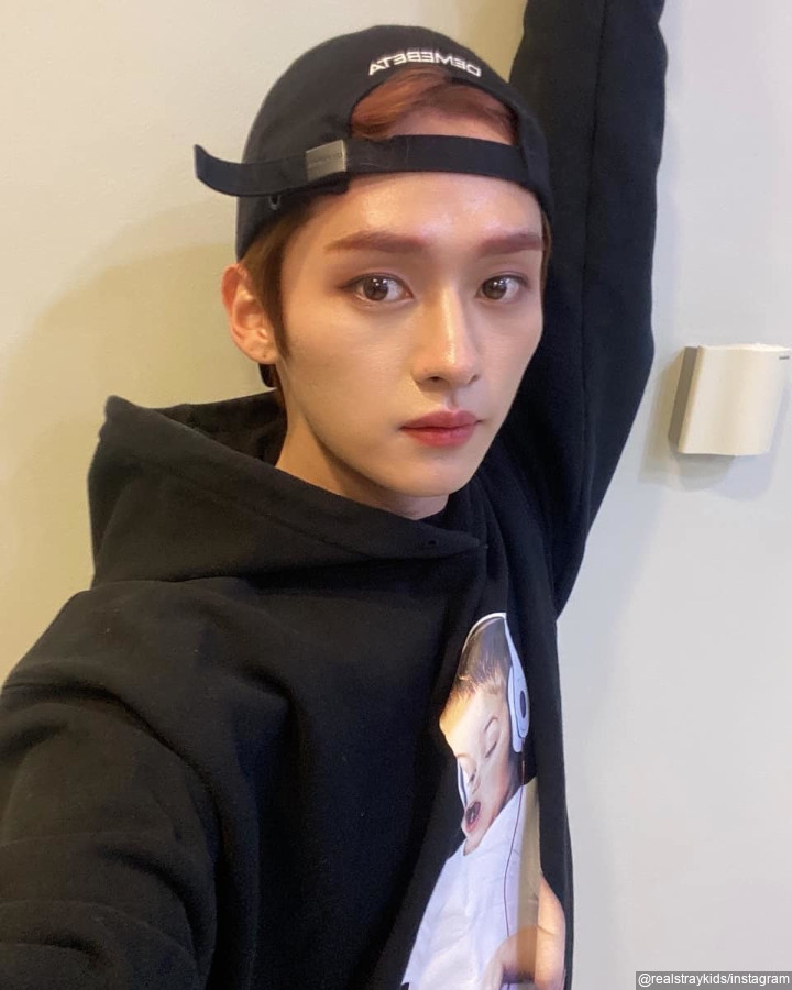 <i>Cat Lovers</i> Garis Keras