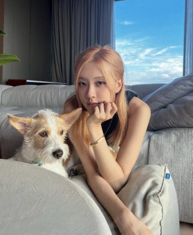 Netter Terpukau Lihat Aura Mahal Anjing Rose Usai Pakai Produk Mewah Tiffany & Co