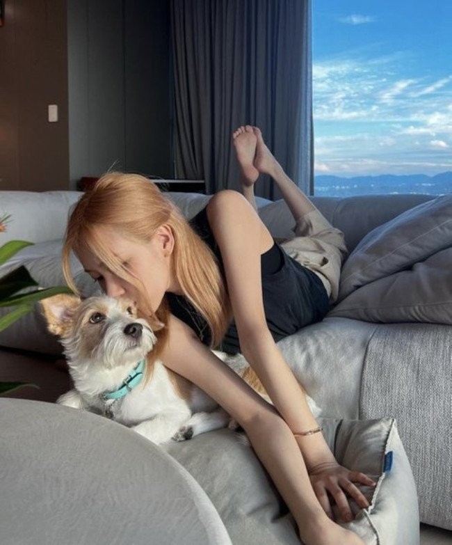 Netter Terpukau Lihat Aura Mahal Anjing Rose Usai Pakai Produk Mewah Tiffany & Co