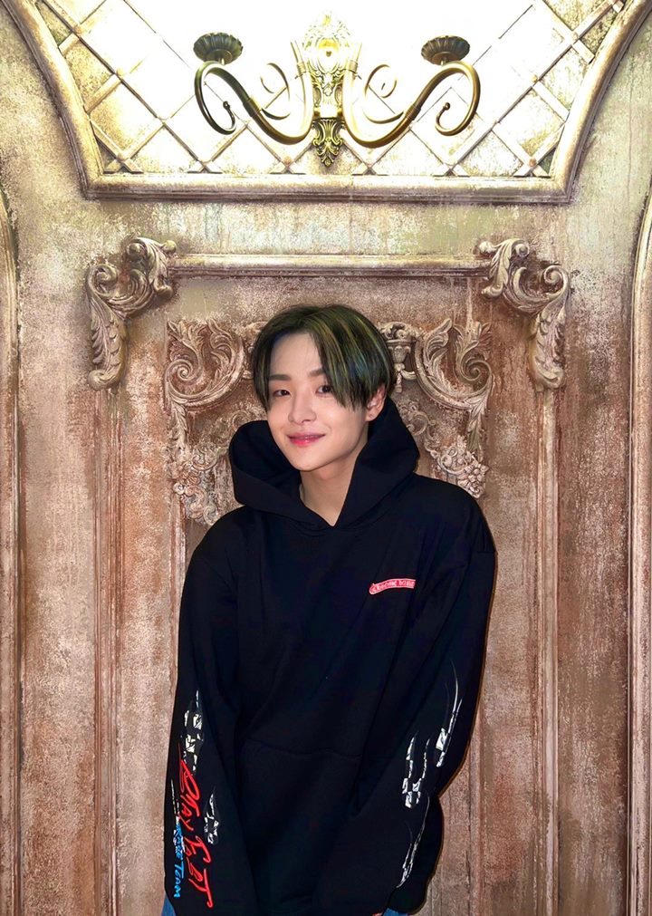 Artis Yang Sopan
