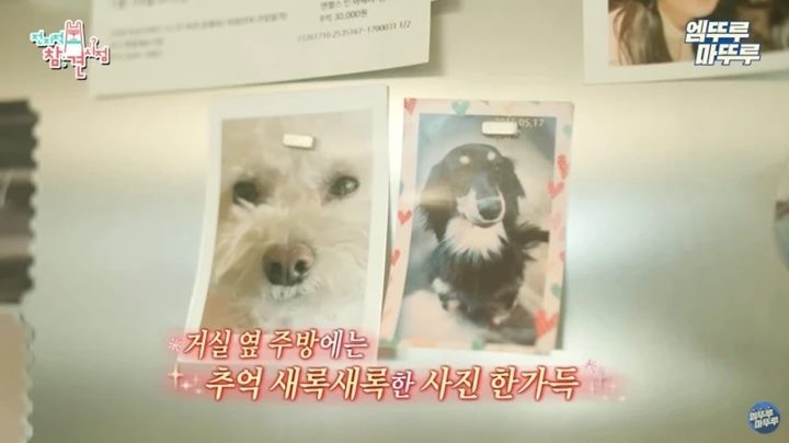 Netter Sukses Dibuat Gemas Usai Lihat Rumah Sooyoung Penuh Dengan Bau-Bau Jung Kyung Ho