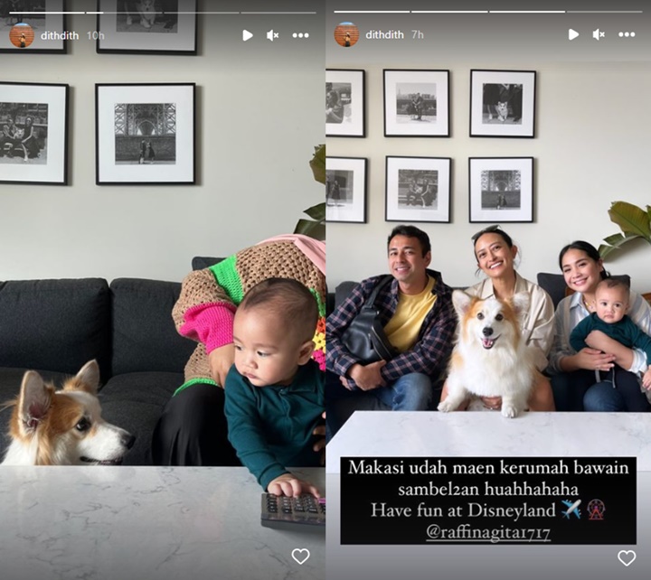 Diajak Nagita Slavina Main Bareng Anjing Menggemaskan, Ekspresi Cipung Mood Banget