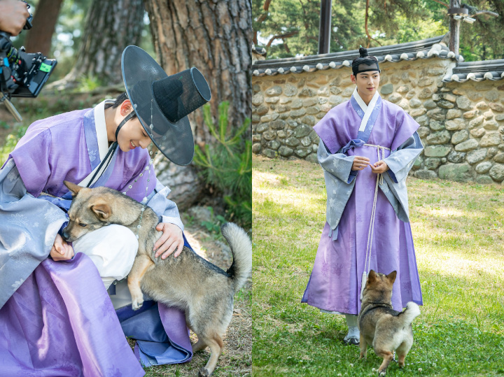 Bermain Dengan Anjing