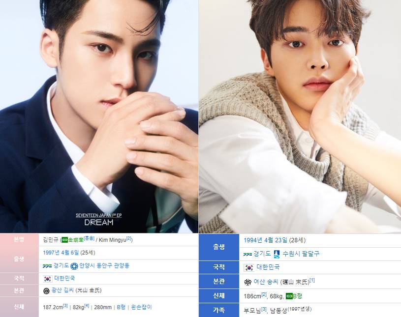Biodata Mingyu SEVENTEEN dan Song Kang