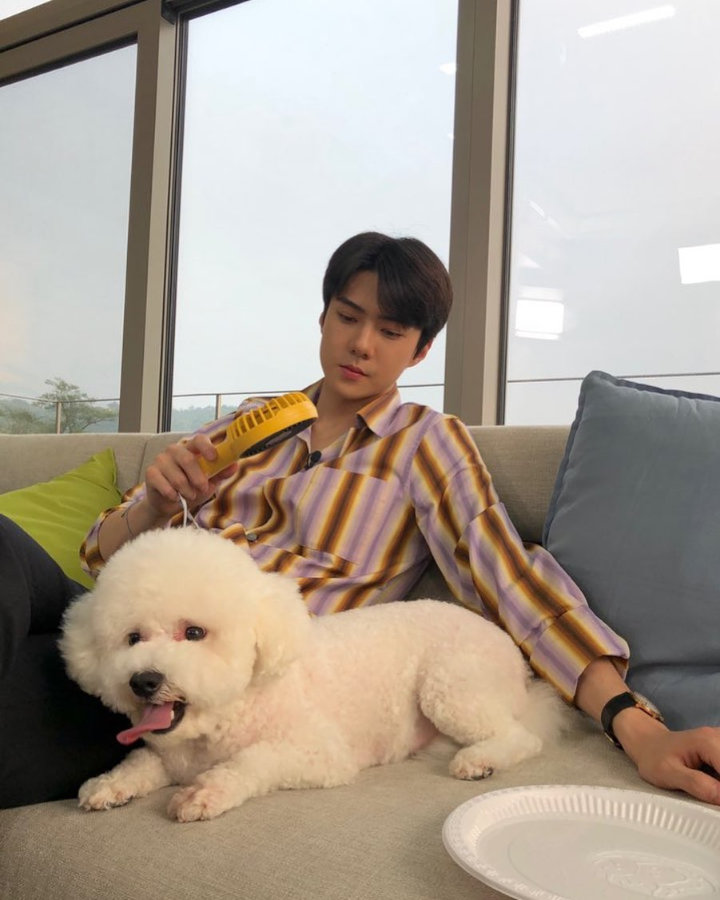 <i>Dog Lover</i>