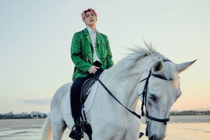 Visual Bak <i>Prince Charming</i>
