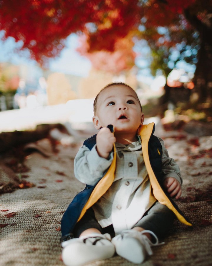 Vibe Autumn