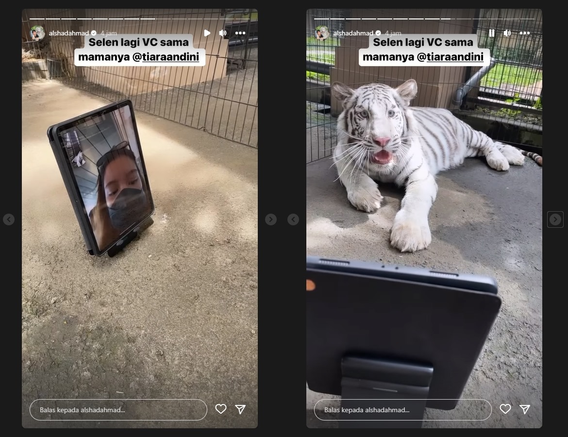 Alshad Ahmad Sebut Selen Centil Saat Video Call bareng Tiara Andini