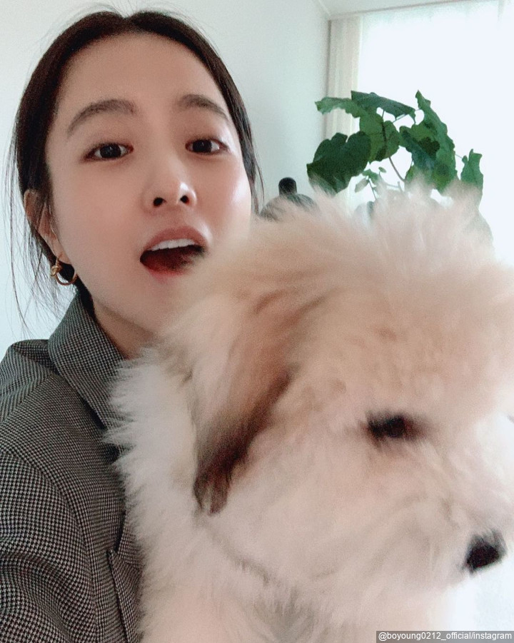 Pecinta Anjing