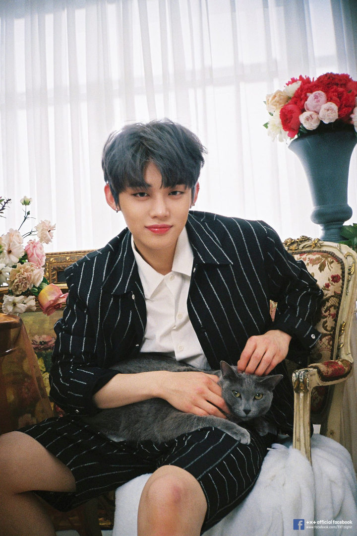 Samaan dengan Kucing