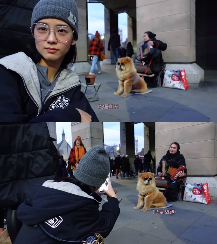 Momen Abadikan Anjing