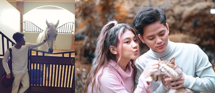 Pecinta Binatang