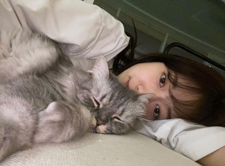 Adopsi Harry Usai Konsul Dengan Lee Sung Kyung