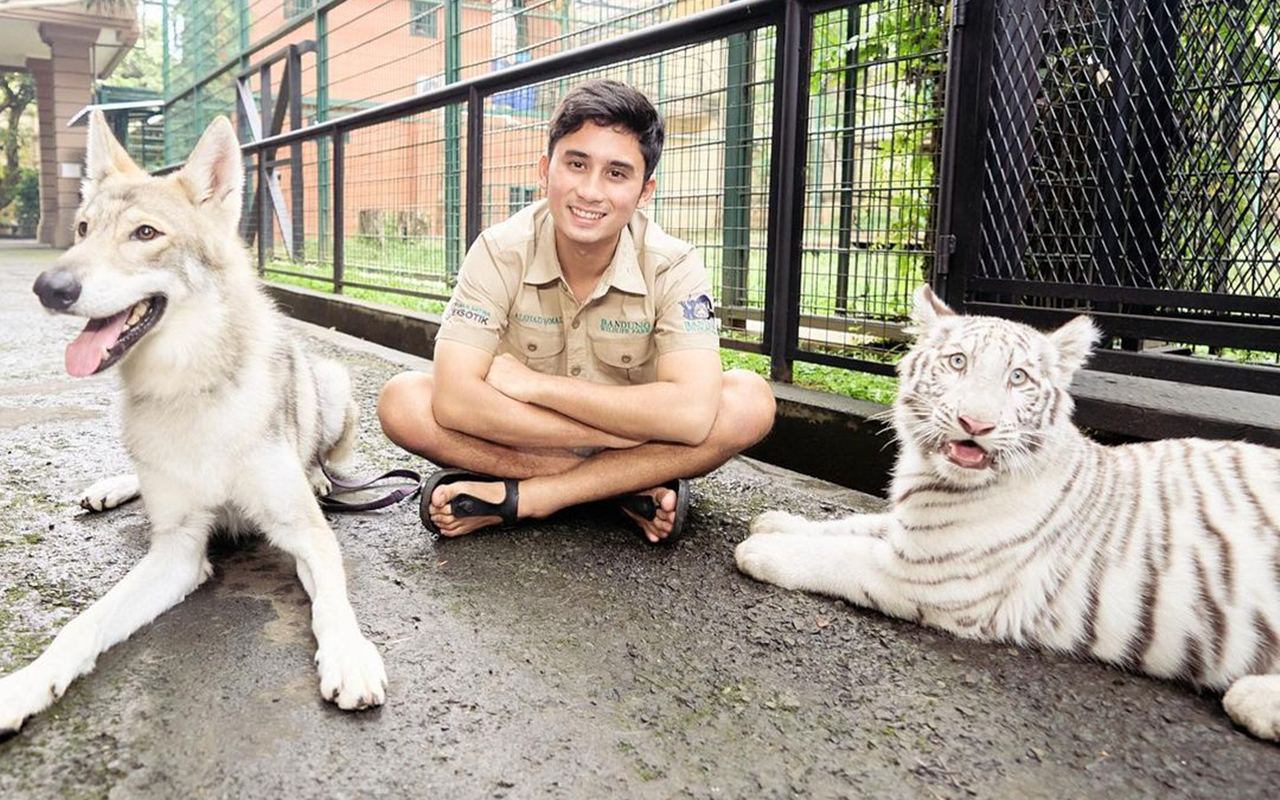 Pelihara Serigala Hingga Harimau, Alshad Ahmad Panik Ditempeli Ular Piton Besar