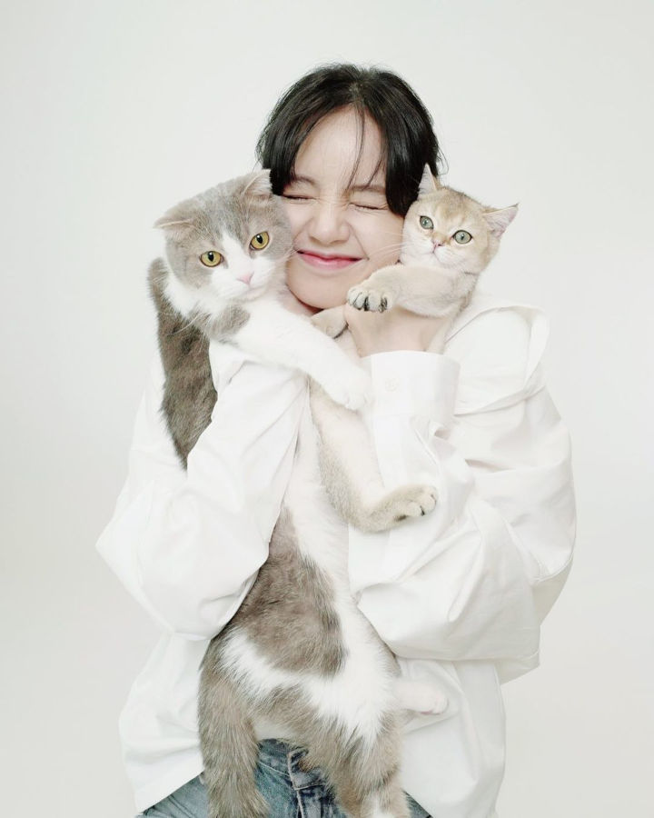 Suka Kucing Sejak Kelas 2