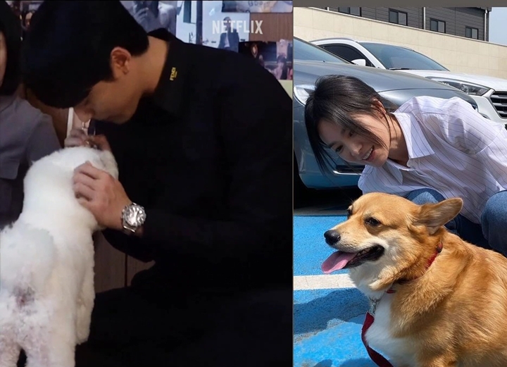 Song Hye Kyo Curhat Anjingnya Mendadak Gak Suka Lee Do Hyun