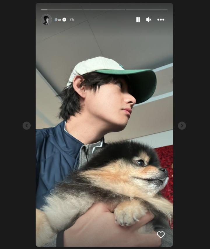 PV BTS Sinkron dengan Yeontan, Anabul Dinilai Seganteng BapaknyaV BTS Sinkron dengan Yeontan, Anabul Dinilai Seganteng Bapaknya