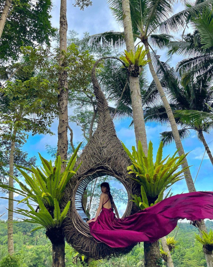 Instagenic Duduk di Sarang Burung Buatan