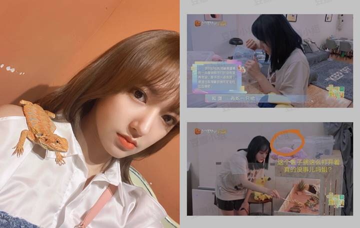 Cheng Xiao