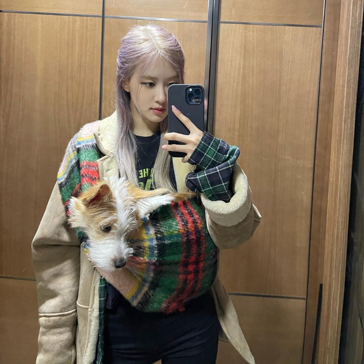 Hank Anjing Classy-nya Rose BLACKPINK