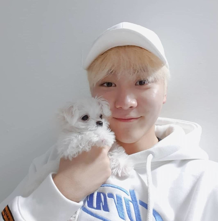 Si Cute Bookkeu Milik Seungkwan SEVENTEEN