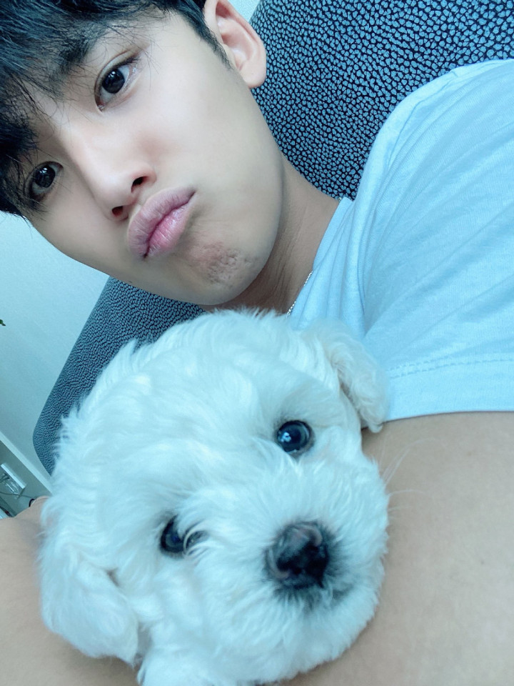Bobpul Manisnya Mingyu SEVENTEEN