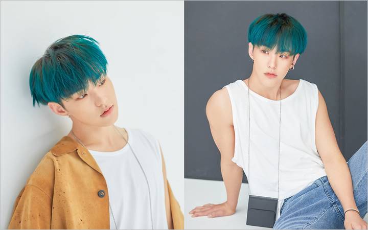 Hoshi SEVENTEEN