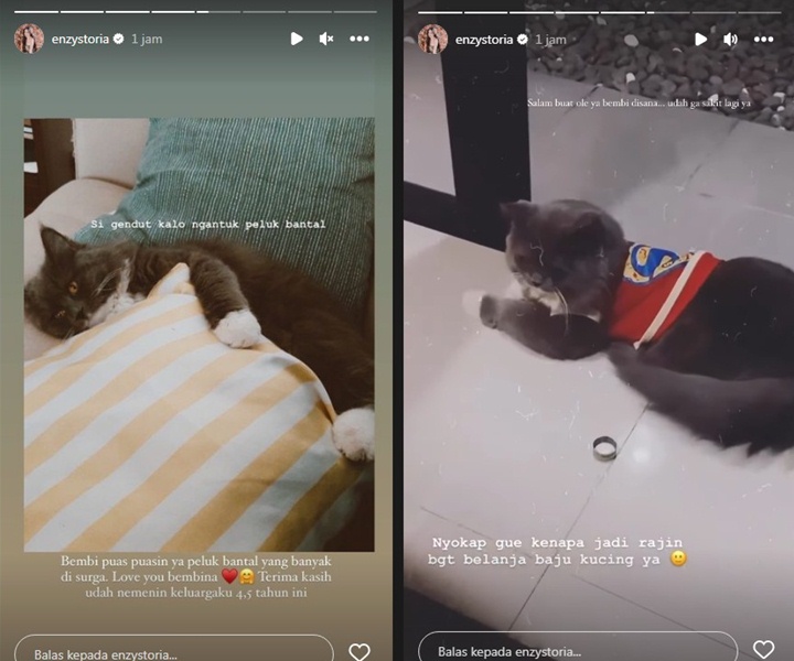 Enzy Storia Mendadak Bagikan Kabar Duka Enzy Storia Mendadak Bagikan Kabar Duka
