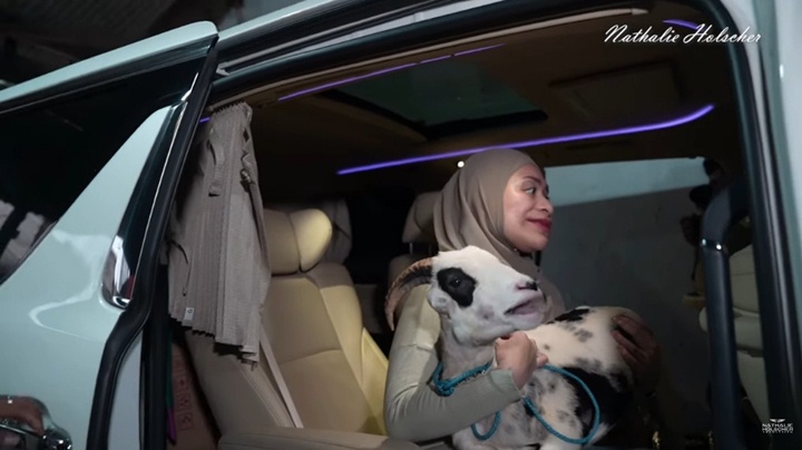 Nathalie Holscher Rela Bawa Kambing Naik Mobil Alphard Demi Adzam