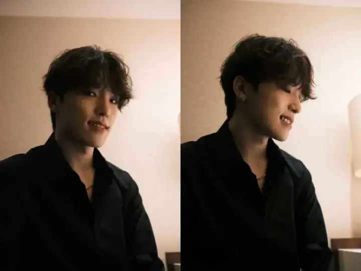 Dino SEVENTEEN