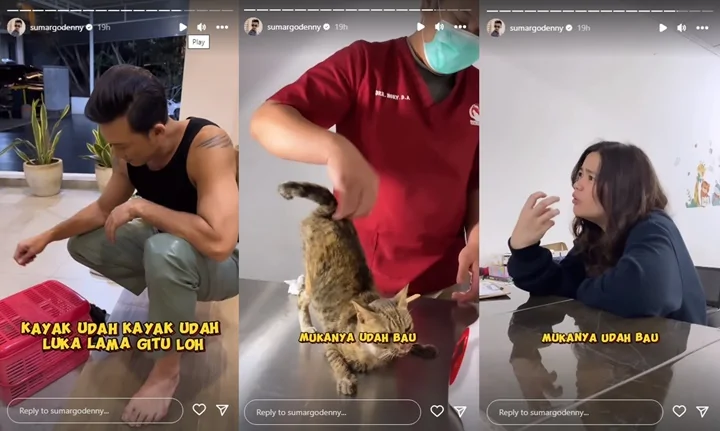 Denny Sumargo dan Istri Tolong Kucing Jalanan, Kondisi Wajah Hancur Bikin Gak Tega