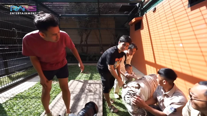 Cipung Bermain dengan Selen, Cenora dan Teonora