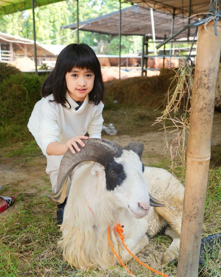 Khadeejah Pegang Tanduk Kambing