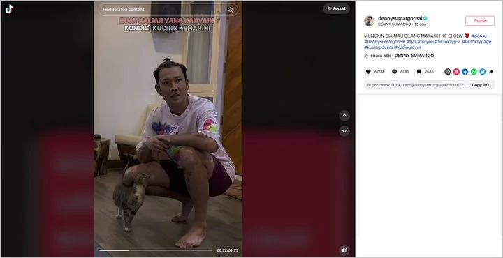 Denny Sumargo Kaget Didatangi Kucing Jalanan yang Ditolongnya Bersama Olivia Allan