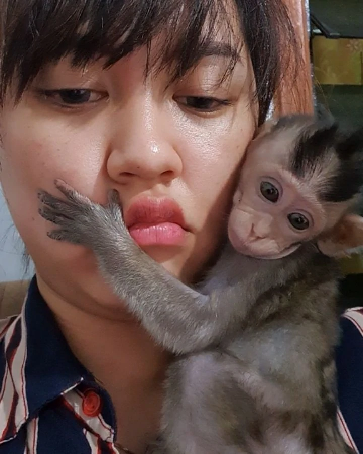 Santai Bareng Monyet