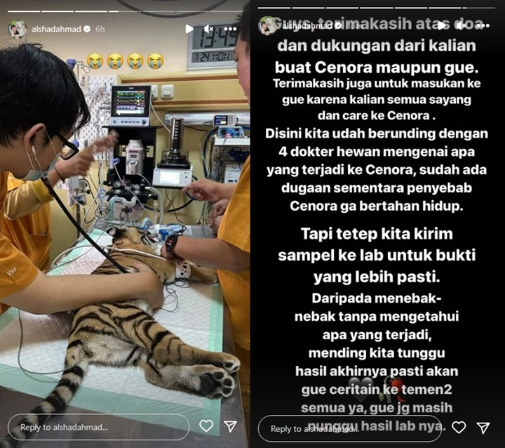 Alshad Ahmad Mendadak Bagikan Kabar Duka