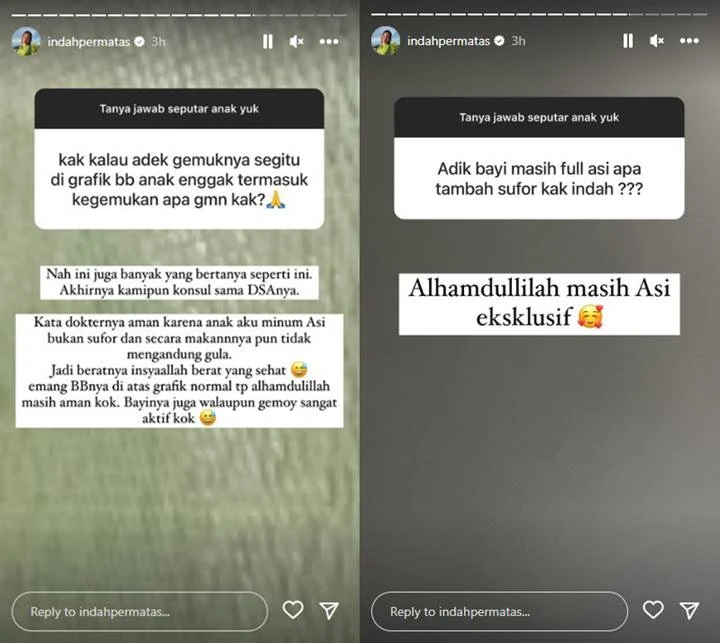 Indah Permatasari Beri Penjelasan Usai Anaknya Dinilai Kegemukan Indah Permatasari Beri Penjelasan Usai Anaknya Dinilai Kegemukan Indah Permatasari Beri Penjelasan Usai Anaknya Dinilai Kegemukan