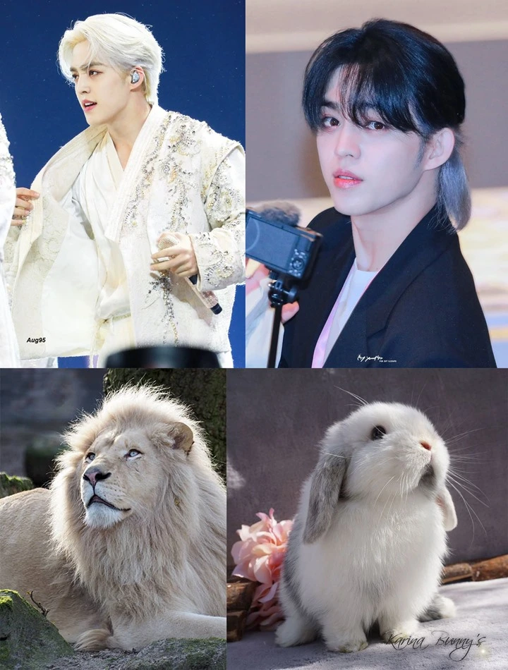 Perihal Rambut, S.Coups SEVENTEEN Buat Fans Pecah Jadi Tim Singa VS Kelinci