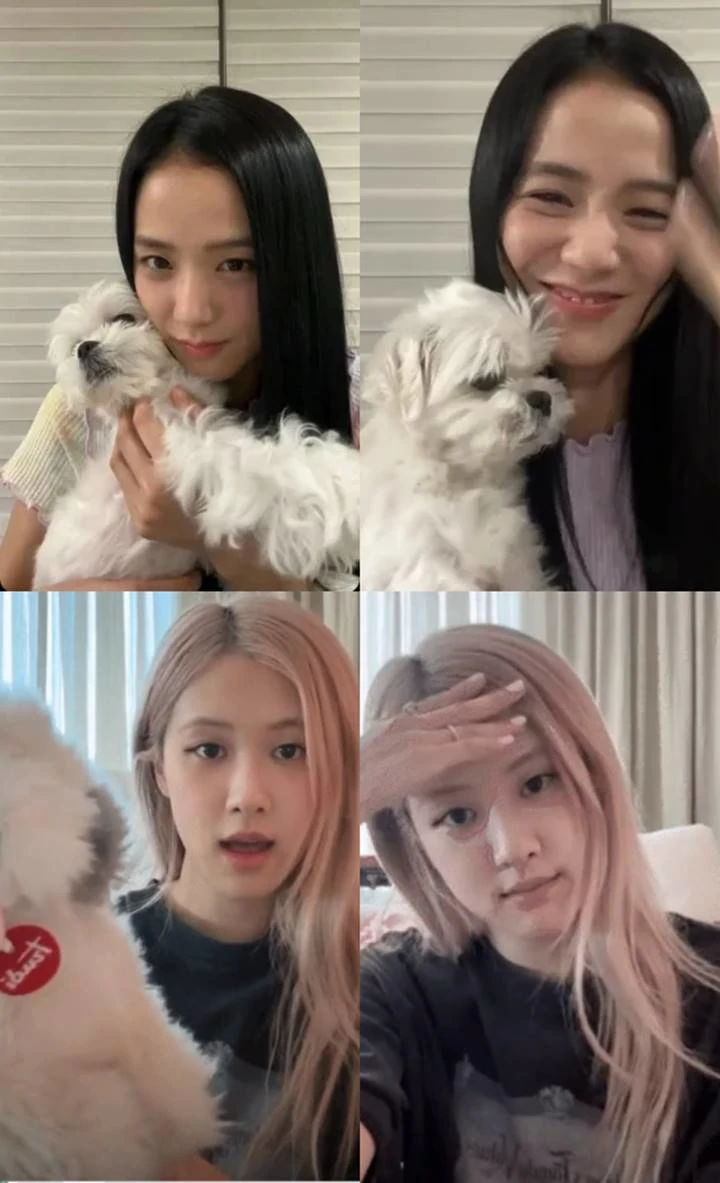 Jisoo dan Rose Sudah Beberkan Nasib BLACKPINK, YG Dituding Cuma Media Play Jisoo dan Rose Sudah Beberkan Nasib BLACKPINK, YG Dituding Cuma Media Play