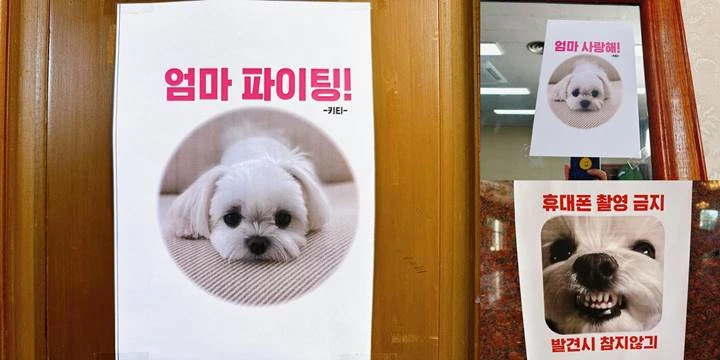 Paksu Suportif, Son Ye Jin Pamer Gestur Manis Hyun Bin Bareng Sosok Spesial