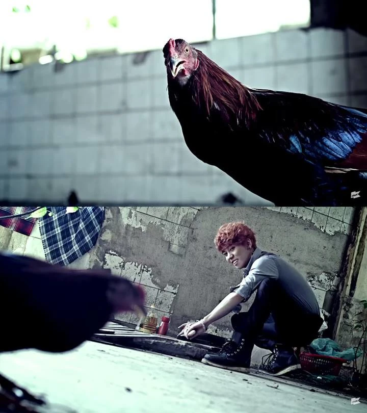 'Nillili Mambo'- BLOCK B