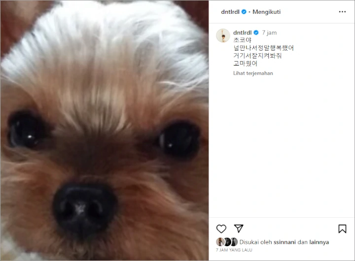 Choi Woo Shik Tiba-Tiba Bawa Berita Duka