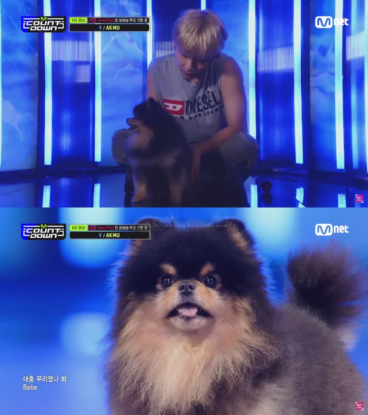 V BTS Beri Kejutan dengan Nyanyi Bareng Anjingnya, Yeontan di Comeback Stage \'M Countdown\' V BTS Beri Kejutan dengan Nyanyi Bareng Anjingnya, Yeontan di Comeback Stage \'M Countdown\' V BTS Beri Kejutan dengan Nyanyi Bareng Anjingnya, Yeontan di Comeback Stage \'M Countdown\'
